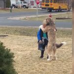 Family Dog melts 20M Hearts Hugging his little Human after School!